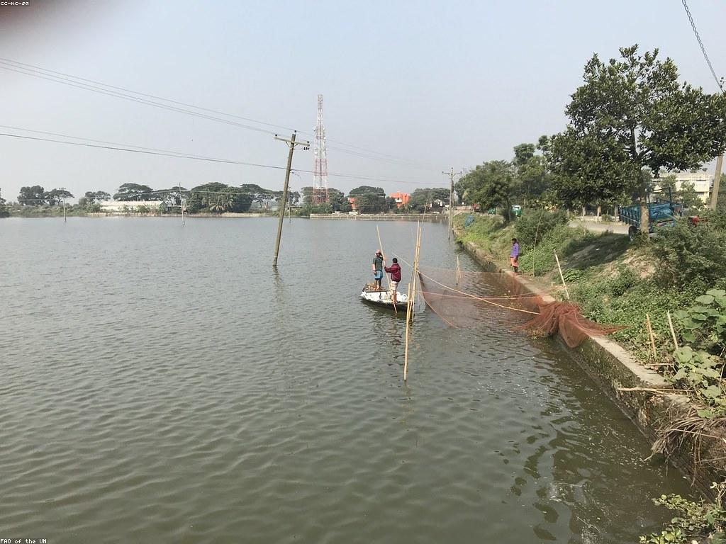 បច្ចេកទេសក្នុងការប្រកួតបាញ់ត្រី